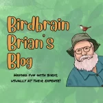 Birdbrain Brian's Blog; Brian Sanders