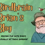 Birdbrain Brian's Blog: Brian Sanders