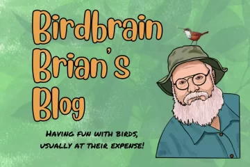 Birdbrain Brian’s Blog
