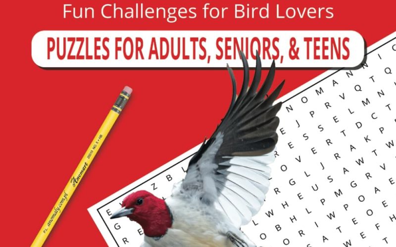 Birdwatching and Brain Games: The Joy of Bird-Themed Word Search Books