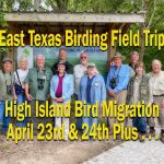 High Island Field Trip - East Texas Birdin