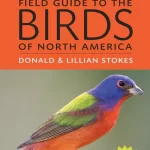 Stokes Field Guide to Birds