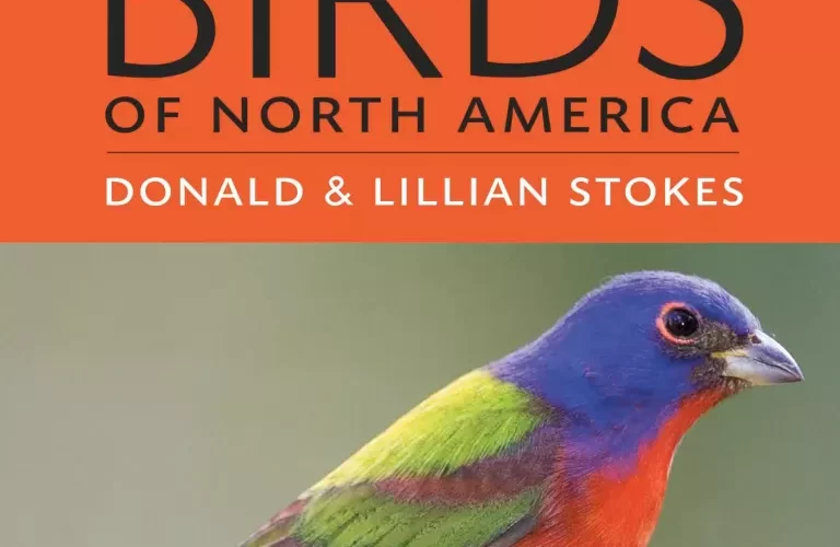 The 5 Best Field Guides to Birds for Every Texas Birder