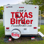 Texas Birder Camper -
