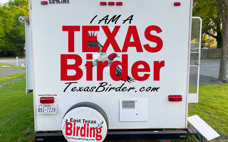 Winging It Across Texas: The Texas Birder Camper Takes Flight (Sorta)