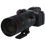 Texas Birder Photography - Canon R5 Back Button Focus