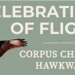 Celebration of Flight at Texas Birder