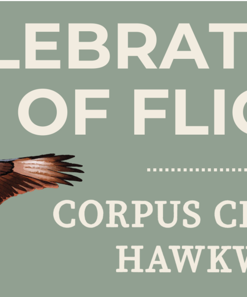 Celebration of Flight – Hawkwatch – 09/26-28/2025