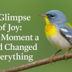 East Texas Birding Location - Old Sabine Bottom -