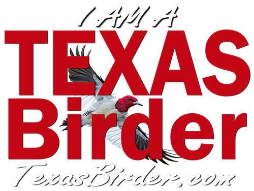 Texas Birder - Birding Blogs, Texas Bird IDs, Texas Birder Association