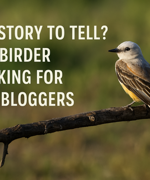 Beginner or Expert, Your Texas Birding Experience Matters—Write for Texas Birder
