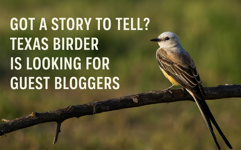 Beginner or Expert, Your Texas Birding Experience Matters—Write for Texas Birder