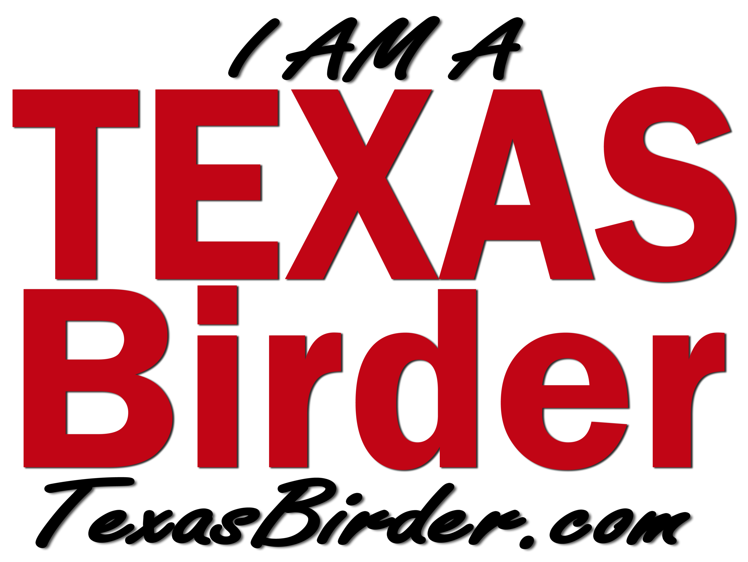 Texas Birder, Everything a Texas Birder Needs, Texas Birding Locations, Identifications